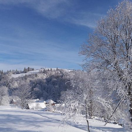 Верховинський Котедж Bukovets エクステリア 写真