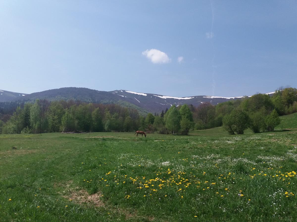 Верховинський Котедж Bukovets エクステリア 写真